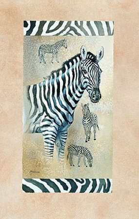 Zebra by Judy Gibson Pricing Limited Edition Print image
