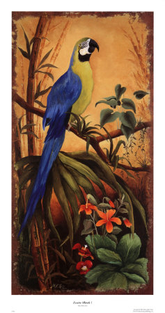 Exotic Birds I by Mary Beth Zeitz Pricing Limited Edition Print image