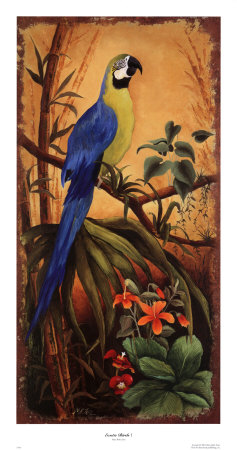 Exotic Birds I by Mary Beth Zeitz Pricing Limited Edition Print image