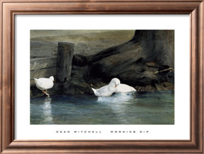 Morning Dip by Dean Mitchell Pricing Limited Edition Print image