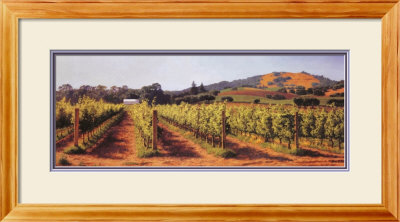 Northern Vineyards by June Carey Pricing Limited Edition Print image