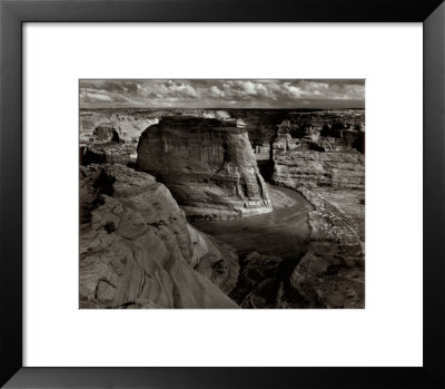 Close-Up Of Gnarled Tree Trunk by Ansel Adams Pricing Limited Edition Print image