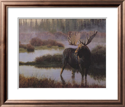 Misty Morning Moose by Jan Martin Mcguire Pricing Limited Edition Print image