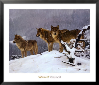 The Return by John Banovich Pricing Limited Edition Print image