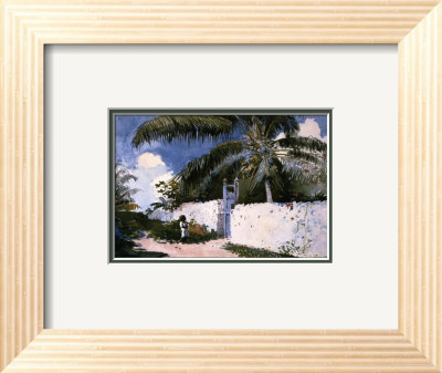 Garden In Nassau, 1885 by Winslow Homer Pricing Limited Edition Print image