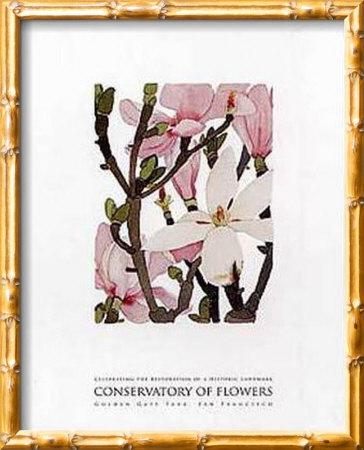 Magnolia by Gary Bukovnik Pricing Limited Edition Print image