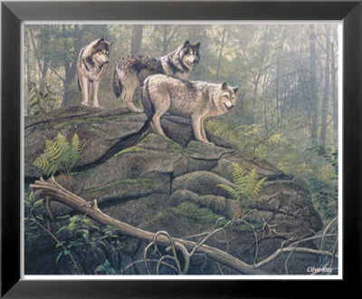 Wolves by Clive Kay Pricing Limited Edition Print image