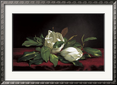 Magnolia Buds by Martin Johnson Heade Pricing Limited Edition Print image