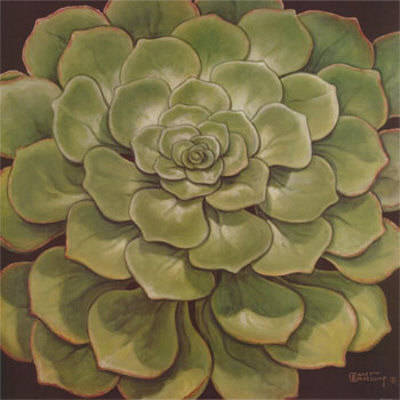 Succulent I by Janet Kruskamp Pricing Limited Edition Print image
