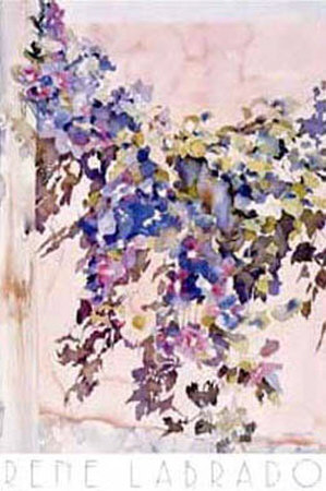 Clematis At Camyon Road by Rene Labrado Pricing Limited Edition Print image