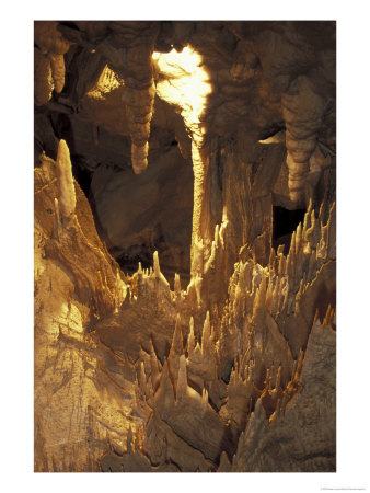 Stalactites And Stalagmites, Drapery Room, Mammoth Cave National Park, Kentucky, Usa by Adam Jones Pricing Limited Edition Print image