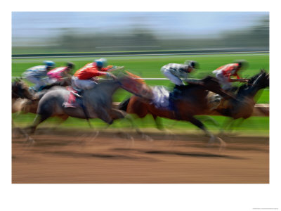 Thoroughbred Horses, Kentucky, Usa by Adam Jones Pricing Limited Edition Print image