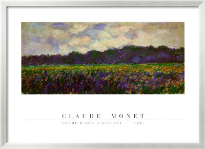 Champ D'iris Giverny, 1887 by Claude Monet Pricing Limited Edition Print image
