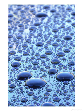 Raindrops, Beaded Up On Glass Surface by Adam Jones Pricing Limited Edition Print image