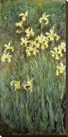 Iris Jaune by Claude Monet Pricing Limited Edition Print image