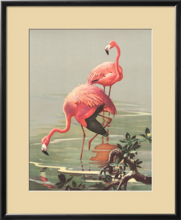 Flamingoes by Roger Tory Peterson Pricing Limited Edition Print image