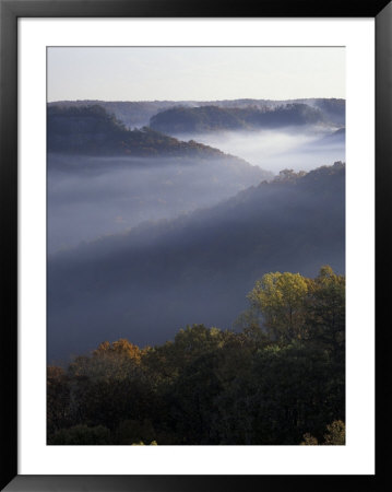 Morning Fog On Ridges Of Red River Gorge Geological Area, Great Smokey Mountains National Park, Tn by Adam Jones Pricing Limited Edition Print image