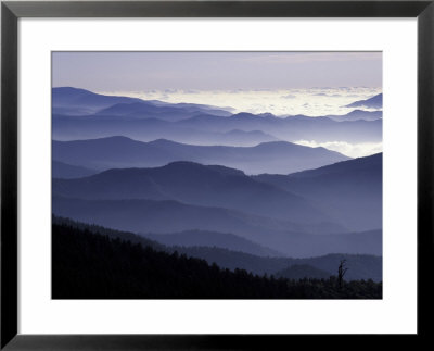 Appalachian Mountains At Dawn, Great Smoky Mountains National Park, Tennessee, Usa by Adam Jones Pricing Limited Edition Print image