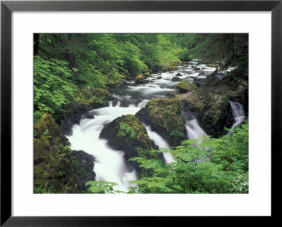 Sol Duc Falls, Olympic Rainforest, Olympic National Park, Washington, Usa by Adam Jones Pricing Limited Edition Print image