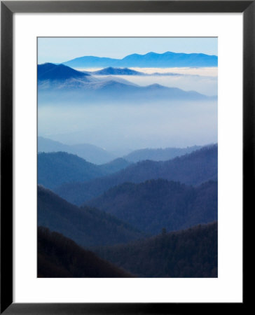 Winter View Of Deep Creek Valley, Great Smoky Mountains National Park, North Carolina, Usa by Adam Jones Pricing Limited Edition Print image