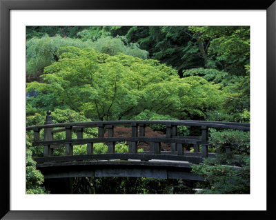 Footbridge In Japanese Garden, Portland, Oregon, Usa by Adam Jones Pricing Limited Edition Print image