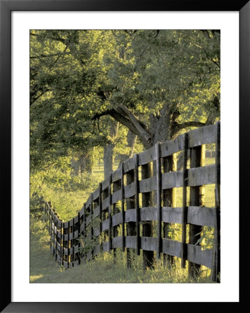 Fence At Sunrise, Bluegrass Region, Lexington, Kentucky, Usa by Adam Jones Pricing Limited Edition Print image