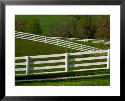 Fences Around Pastures, Shaker Village Of Plesant Hill, Kentucky, Usa by Adam Jones Pricing Limited Edition Print image