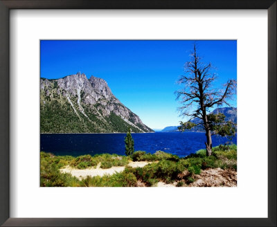Lake Nahuel Huapi From Route 237, Neuquen, Bariloche, Argentina by Michael Taylor Pricing Limited Edition Print image