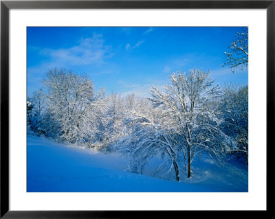 Record Snow In Louisville, Kentucky, Usa by Adam Jones Pricing Limited Edition Print image