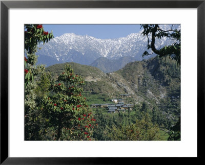 Gaddi Village, Dhaula Dhar Range, Western Himalayas, India, Asia by David Poole Pricing Limited Edition Print image