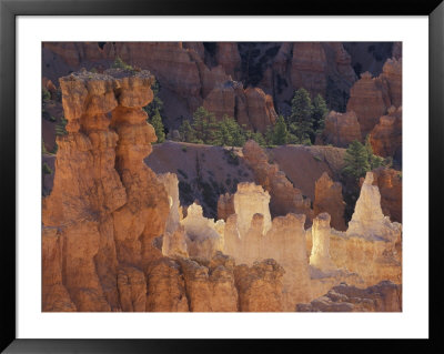 Hoodoos, Bryce Canyon, Bryce Canyon National Park, Utah, Usa by Adam Jones Pricing Limited Edition Print image