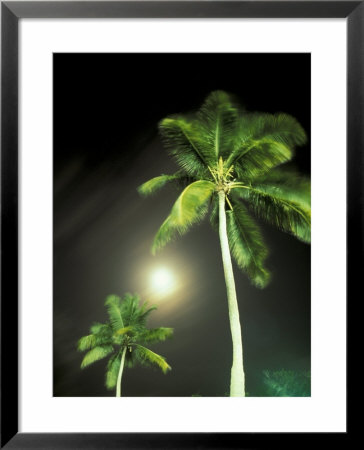 Tropics Palm Trees And Moon by Robin Hill Pricing Limited Edition Print image