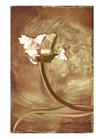 Wax Flower I by Miguel Paredes Pricing Limited Edition Print image