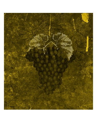 Grapes V by Miguel Paredes Pricing Limited Edition Print image