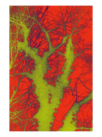 Abstract Trees Xi by Miguel Paredes Pricing Limited Edition Print image