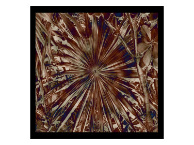 Abstract Leaves Iii by Miguel Paredes Pricing Limited Edition Print image