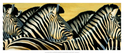 Zebra by Graeme Stevenson Pricing Limited Edition Print image