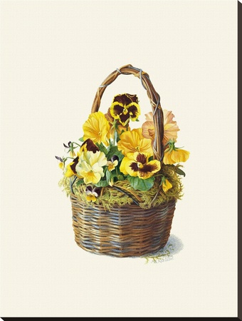 Sunshine Pansy Basket by Mary Kay Krell Pricing Limited Edition Print image