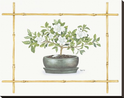 Gardenia Bonsai by Bambi Papais Pricing Limited Edition Print image