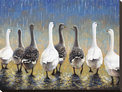 Waddling In The Rain by Joe Sambataro Pricing Limited Edition Print image