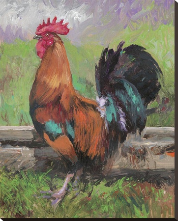 Red And Turquoise Rooster by Nenad Mirkovich Pricing Limited Edition Print image