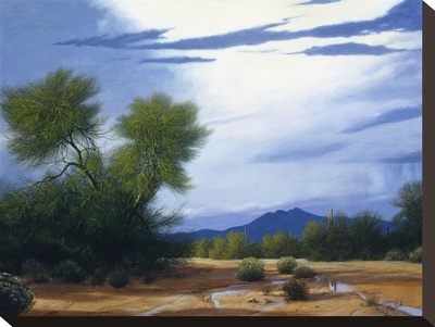 Palo Verde Wash by Ann Mcleod Pricing Limited Edition Print image