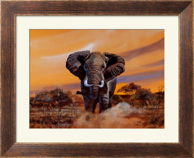 Charging Bull Elephants by Don Balke Pricing Limited Edition Print image