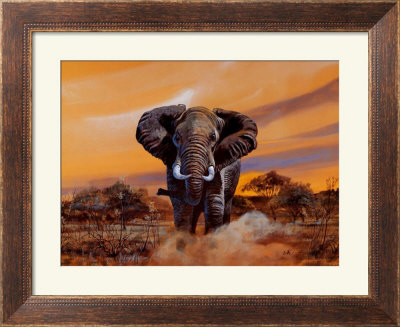 Charging Bull Elephants by Don Balke Pricing Limited Edition Print image
