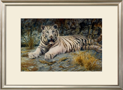 White Tiger by Matthew Hillier Pricing Limited Edition Print image