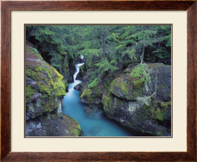 Mountain Forest Cascade by William Neill Pricing Limited Edition Print image