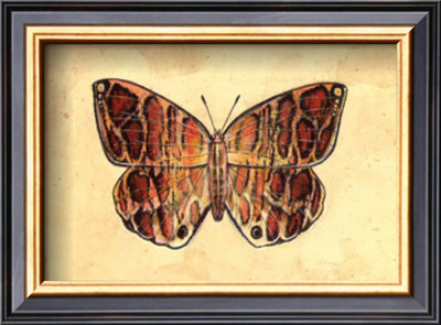 Butterfly I by Steve Butler Pricing Limited Edition Print image