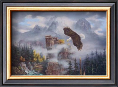 Eagle's Domain by Rudi Reichardt Pricing Limited Edition Print image
