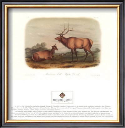 American Elk by John James Audubon Pricing Limited Edition Print image