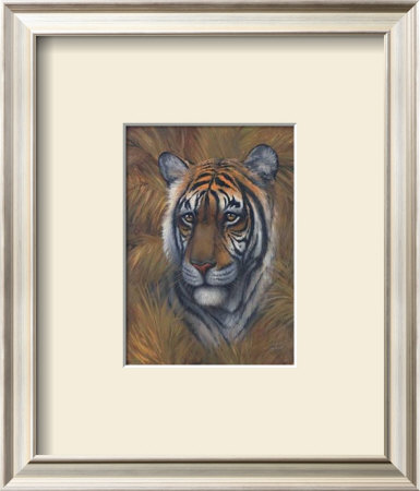 Safari Tiger by Joe Sambataro Pricing Limited Edition Print image